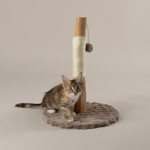 Scruffs Scruffs Andes "My First" Cat Scratching Tree 2
