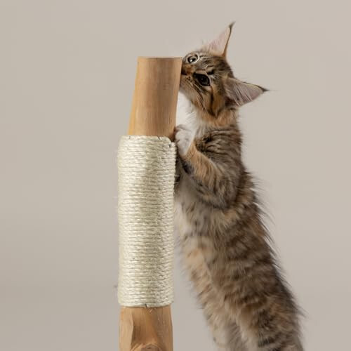 Scruffs Scruffs Andes "My First" Cat Scratching Tree 1