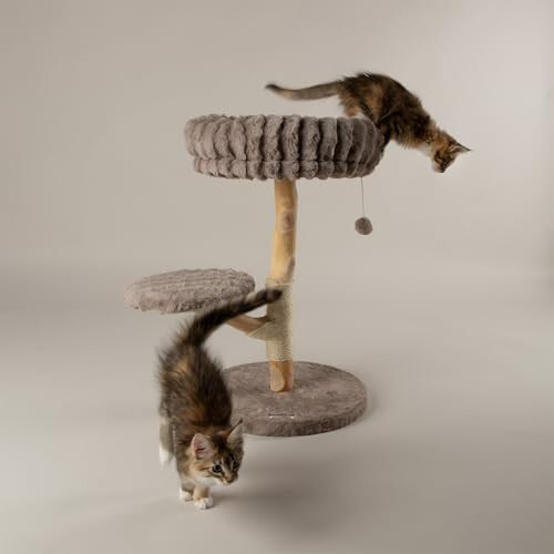 Scruffs Scruffs Atlas Cat Scratching Tree 1