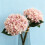 Bouquet Síoda Hydrangea le haghaidh Maisiúcháin Baile 5