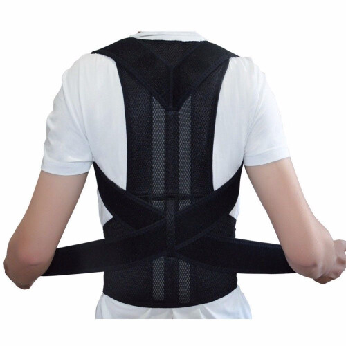 FlexiFit Pro Adjustable Straps Back Support Belt with5Steel Plates, Black, Medium