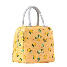 Geïsoleerde lunchbox voor dames en heren, lekvrije koeltas met dubbele aluminiumfolie, bloemenprint in diverse kleuren – geschikt voor werk,