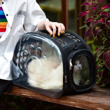 Haustier-Schultertasche, Katzentransporttasche, atmungsaktive Handtasche für Reisen im Freien, Welpen- und Kätzchenkapsel, transparent, tragbarer