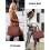 Bolsa Packuum 3 em 1 para Mulheres, Bolsa para Laptop de 15,6 Polegadas com Compartimento Térmico para Almoço e Carteira Combinando para Trabalho e 2