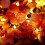 Lighted Fall Garland Maple Leaves 16 ft 2