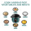 Macook Mini Rice Cooker | 0.6 Liter Multi-functional Rice Cooker Small | Non-Stick Rice Pot | One-button Operation | Automatic Keep Warm | 5