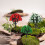 15pcs Model Trees Mini Trees Realistic Tree Figurines Architecture Trees For Diorama Train Scenery 4