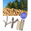 Ensemble de perchoirs en bois naturel pour grands perroquets (5 pièces) 6