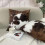 20x20 in Polyester Cushion Covers Pack of 2 4