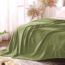 Queen Size Sage Green Fleece Blanket, 90x90", Super Soft & Lightweight, All-Season Cozy Throw