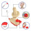 ACDANC Hand-Crank Yarn Ball Winder Plastic 1pc 5