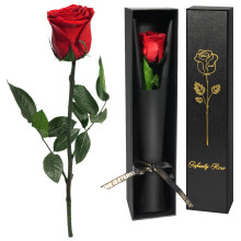 Yamonic Valentines Gifts for Her,Preserved Real Rose Gifts for Women, Single Red Rose with Stem Birthday Gift For Women, Eternal Flower Gift for