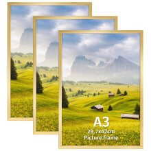 Hoikwo A3 Picture Frame Pack of 3, Gold Poster Frame for Wall Hanging, A3 Photo Frame for Home and Gallery Displays, Horizontal or Vertical