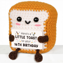 16th Birthday Gifts Girl Boys, Handmade Emotional Support Crochet Toast 16th Birthday Decorations Keepsake, Cute 16 Year Old Gifts fo Friends Daughter