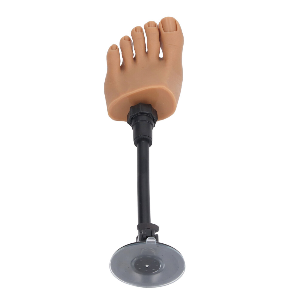 Left Silicone Nail Practice Foot Model with Stand