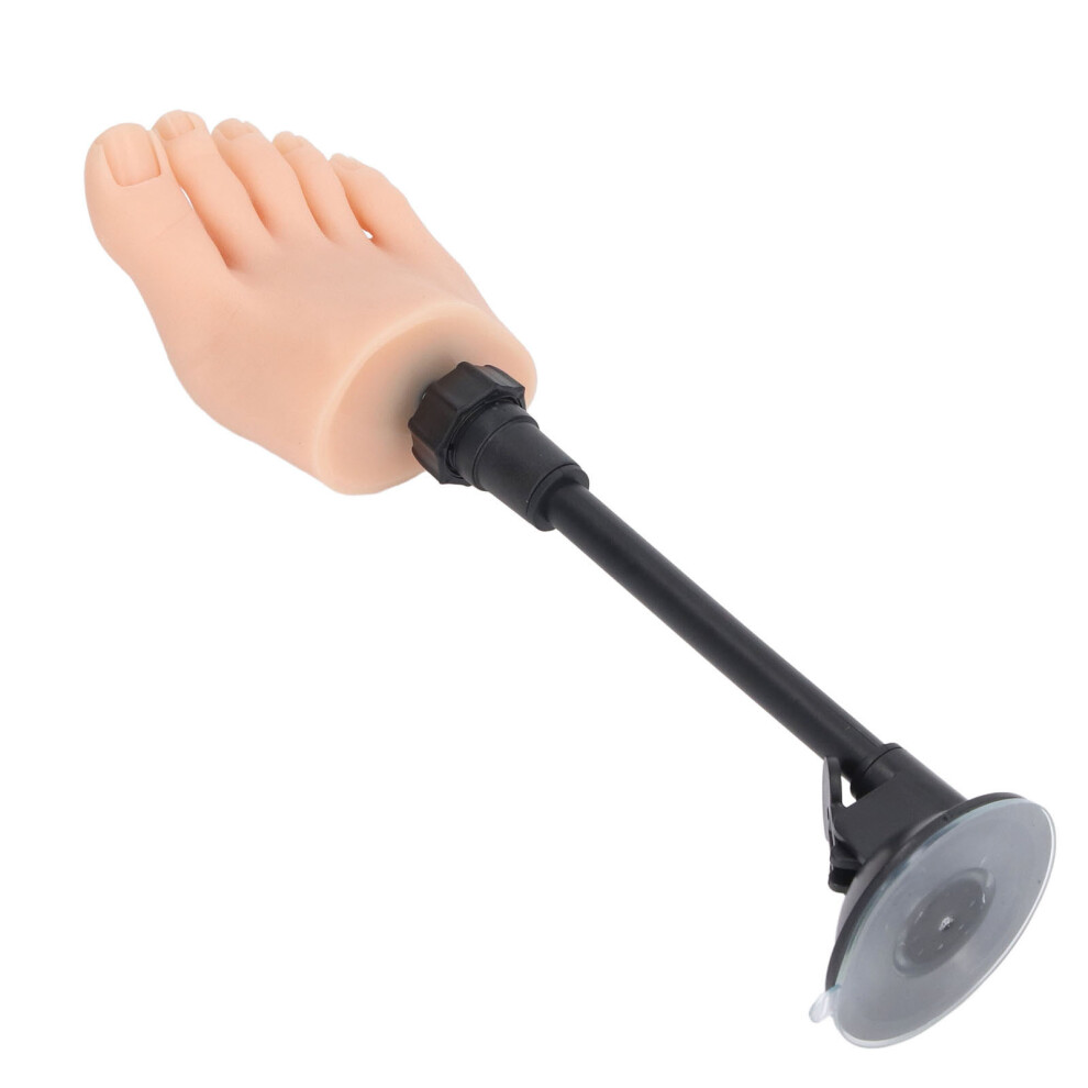 Silicone Gel Nail Practice Foot Model with Stand, Right Foot, Flexible