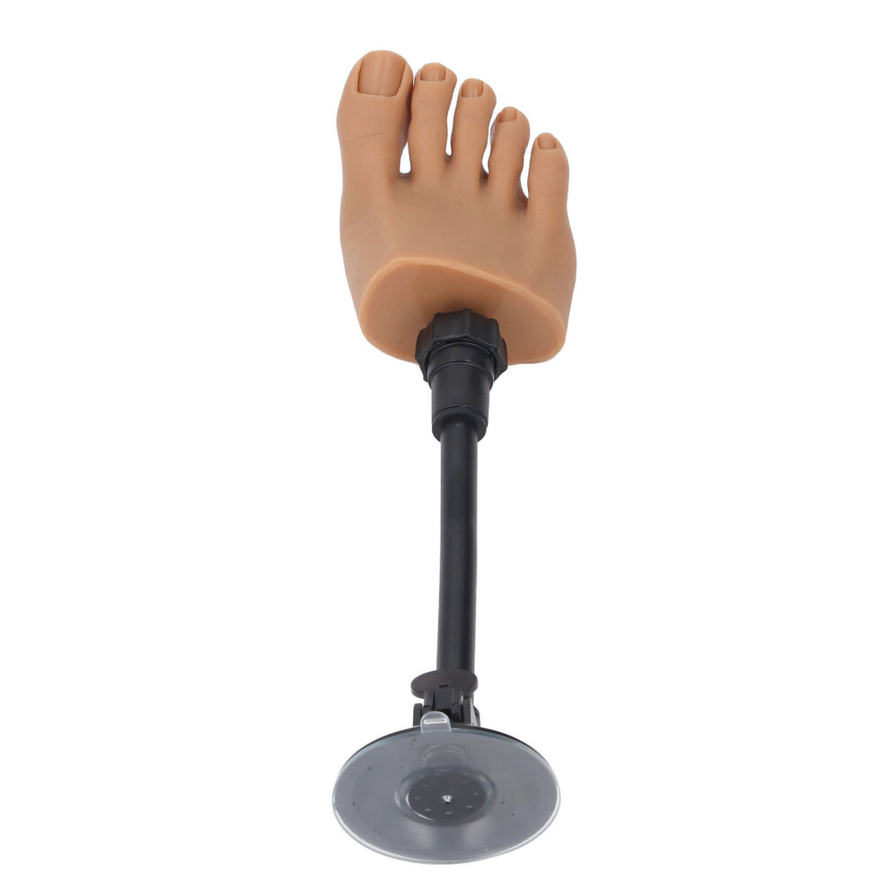 Silicone Nail Art Practice Foot Model with Stand for Home Salon Right Foot