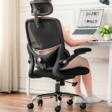 TONFARY Ergonomic Office Chair - High Back Mesh Design with Adjustable Lumbar Support, Flip-Up Armrests, Removable Headrest & 360? Swivel -