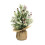 Pre-Lit Snow-Flocked Mini Christmas Tree with Wood Base 1