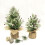 Pre-Lit Snow-Flocked Mini Christmas Tree with Wood Base 3