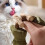 Ξύλινο οδοντιατρικό παιχνίδι γάτας Purrident Catnip με κόκαλα ψαριού 2