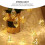 9.8 ft 20-LED Gold Leaf String Lights, Warm White, Battery 4