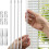 43cm Curtain Extension Pull Rod Blind Wand Vertical for Blinds with Easy Grip 3
