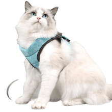 Adjustable Escape-Proof Cat Harness and Leash Set Green L