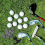 Golf Spikes Set Includes 30 Pcs Cleats Replacement Spanner Metal Thread Screw 6 mm Dia Spike Too 7