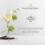 Louis Roederer Brut Vintage Champagne, 75 cl 3