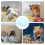 Hamster Sand Bath Container: Guinea Cage Accessory 4
