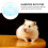 Hamster Sand Bath Container: Guinea Cage Accessory 6