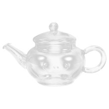Tetera de cristal QUMONIN Blooming Loose Leaf Tea Maker Set Jarra transparente Kung Fu Pot 250ml