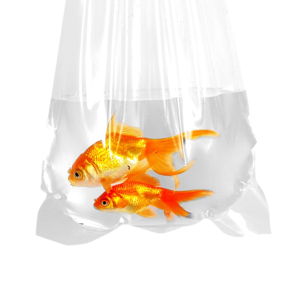 Photos - Dry Erase Board / Flipchart AlfaEx Fishery Bags, 8" x 16" Leak Proof, Rounded Bottom, Clear Plastic Fish Bags for Tropical & Marine Fish Watertight Tran