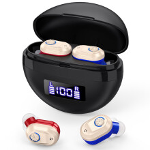 Rechargeable Hearing Aids for Moderate Hearing Loss—Advanced Noise Reduction, Long Battery Life, Adjustable Volume, Charging Case—Compatible with