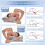 Μαξιλάρι αυχένα – Memory Foam, εργονομικός σχεδιασμός 2 υψών, κάλυμμα από μετάξι Ice Silk, 2