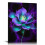 Quadro decorativo em tela com flor de lótus roxa, 40x50cm (16x20 polegadas) 1