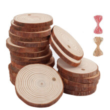 24Psc Natural Wood Slices with Hole, 5-6cm Wood Slices for Crafts, Round Wooden Discs with Hole 20m Hanging Rope, Unfinished Predrilled Wooden Discs