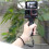 Handheld Quick-Release Handle for  Ace Pro 2 Ergonomic Grip W/H Wrist Strap Expansion Frame Fixing for Vlogging 4