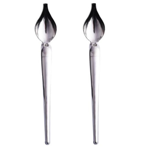 2 Pcs Stainless Steel Culinary Precision Drawing Deco Spoon Set, Sauce Drizzle Spoon Plate Decorating Spoon
