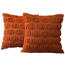 Fall Pillowcases 18 X 18 Inch Set of 2, Fall Decorative Pumpkin Soft Plush Faux Fur Decor for Fall Halloween