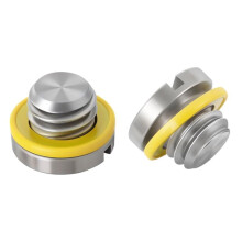 2PCS 79953Q04 Marine Lower Unit Oil Drain Plug Screw for Mercury Replaces 10-79953Q2 10-79953A2 18-2244
