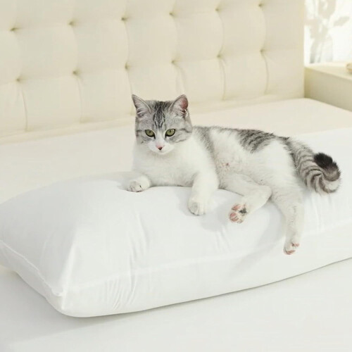 Cotton-Blend Body Pillow 20 x 54 in 1