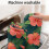 Tapete de banheiro floral em microfibra, 43 x 69 cm (17 x 27 polegadas) 5
