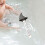 Pool Thermometer Multifunction Cute Decor for Aquariums SPA 7