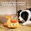 Godbitdispenser-leke for katter og hunder – interaktiv 2