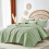Sage Green Quilt Set Full/Queen Microfiber 3-Piece 2