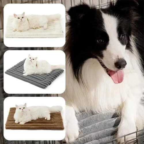 Tapis auto-chauffant pour chats et petits chiens 1