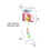 Smart Door-Hanging Interactive Cat Toy, Rechargeable 4