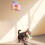 Smart Door-Hanging Interactive Cat Toy, Rechargeable 3